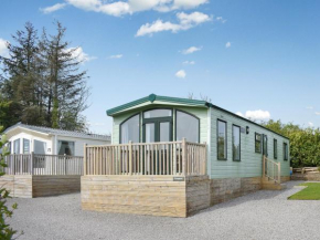 Uk47339 - Evergreen